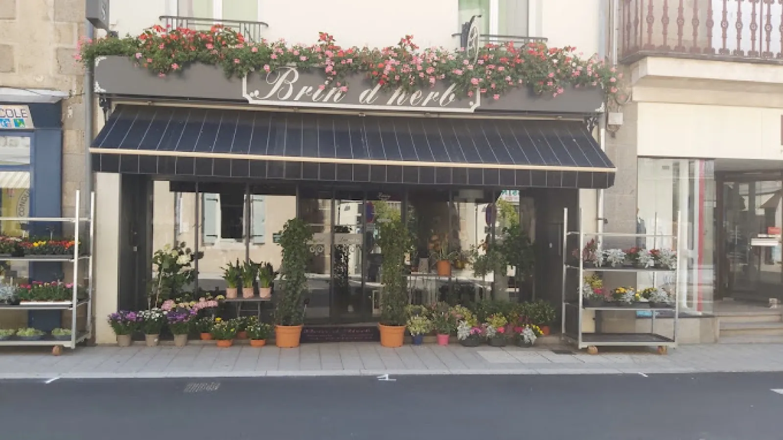 Brin d'Herb', Fleuriste à Évron en Mayenne