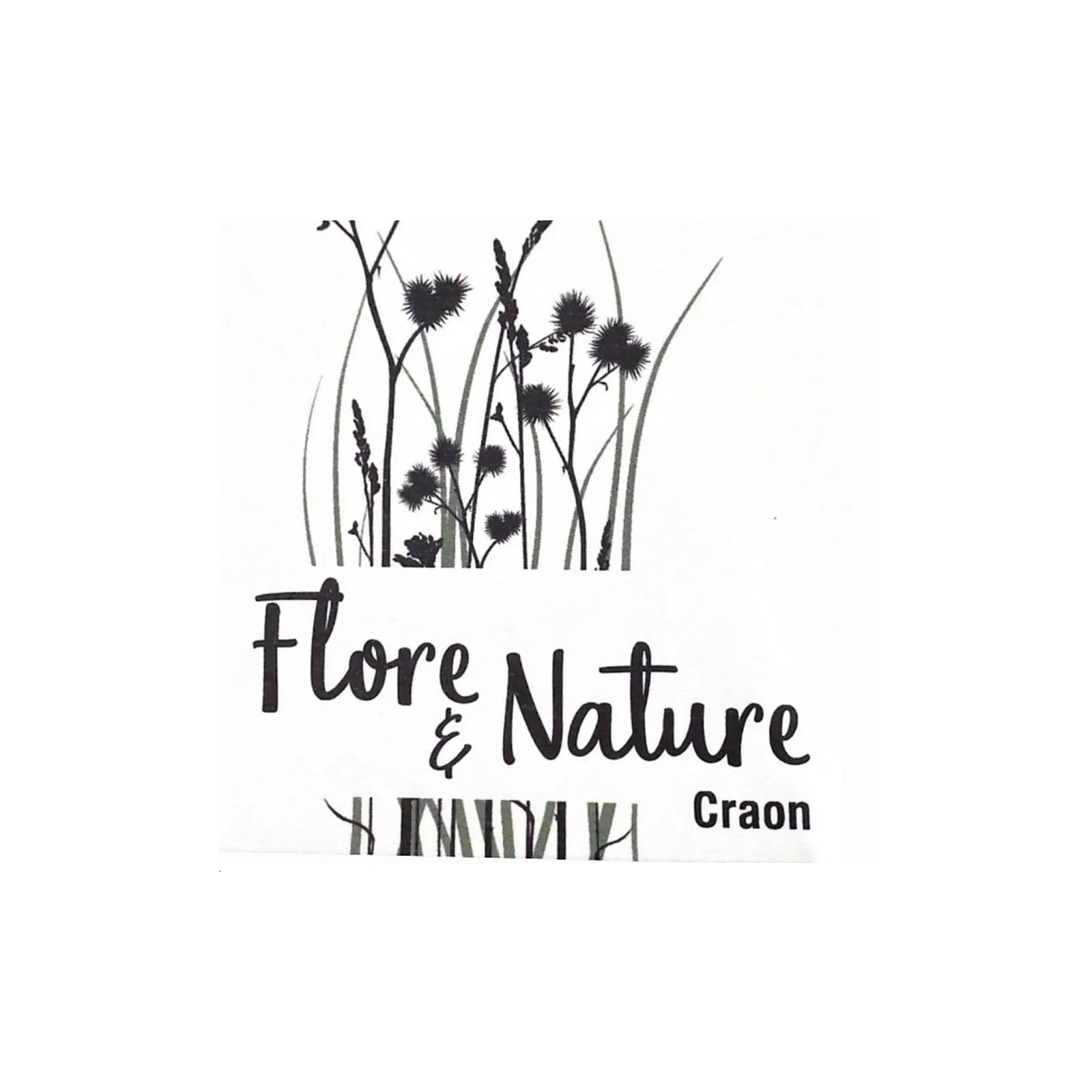 Flore et Nature, Fleuriste à Craon en Mayenne