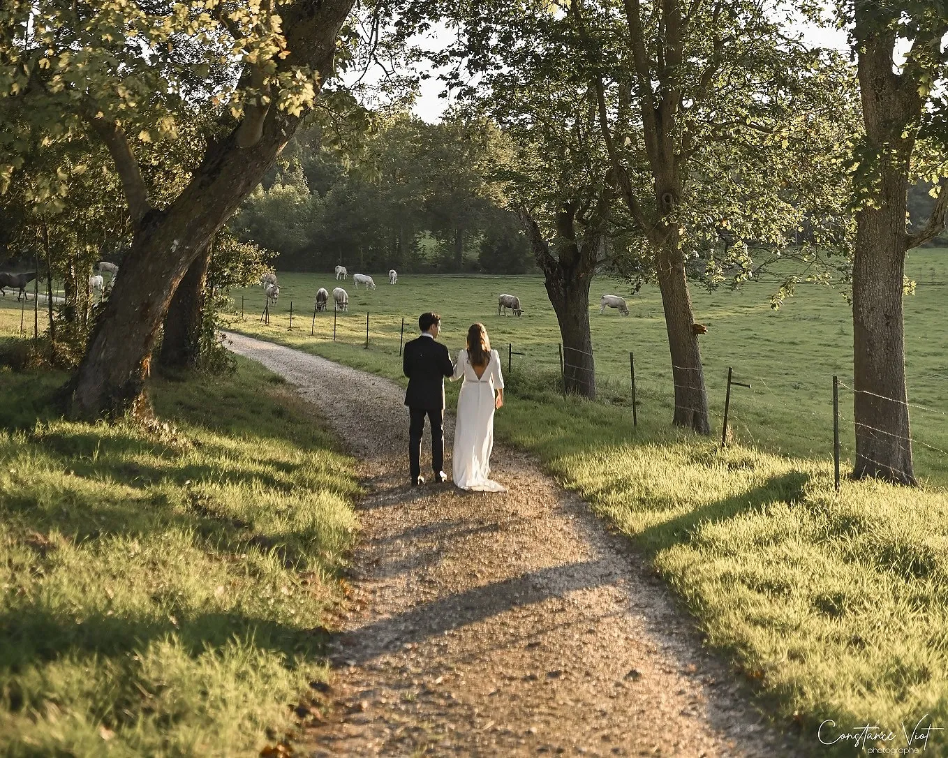 Château de Craon, Château à Craon, mariage en Mayenne (photo 2)