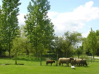 Coquet Laurence – gîte des Faluères, Salle à Laval en Mayenne