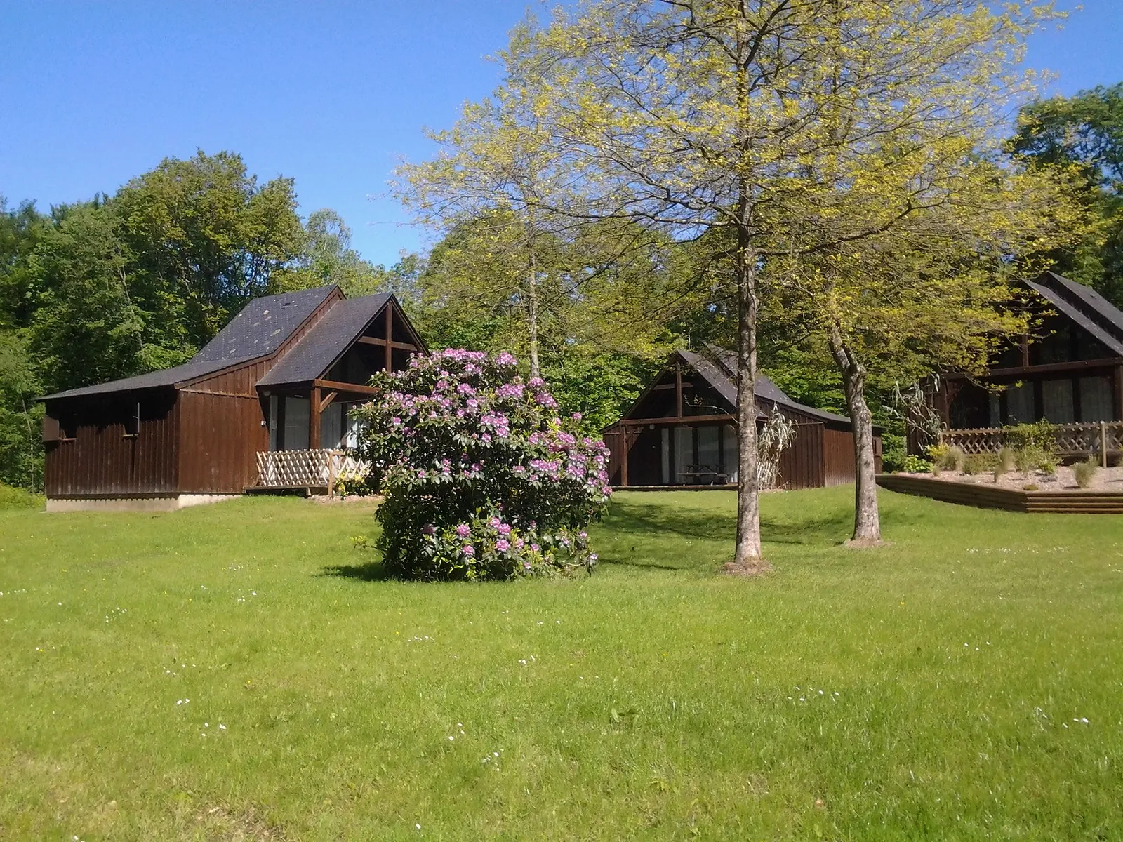 Domaine du Bois du Tay, Domaine à Hambers en Mayenne